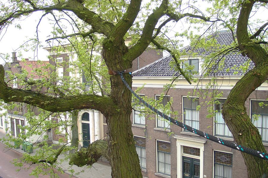 geplaatste-kroonverankering-martinetti