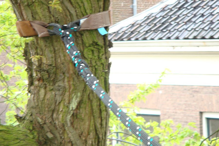 kroonverankering-geplaatst-martinetti